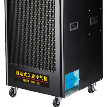 宝工电器（BGE）单相工业冷气机 商用移动式空调制冷机 BGK1801-65 /台  可定制