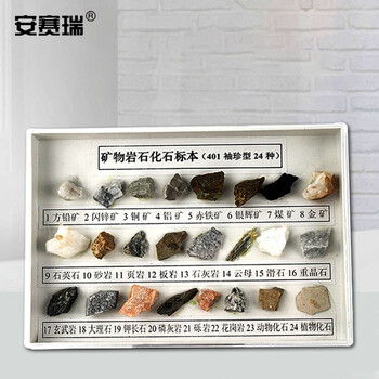 安赛瑞 矿物岩石标本（24种）科学地理配套石头矿石 科普展示教学仪器教具 初高中实验器材 601364
