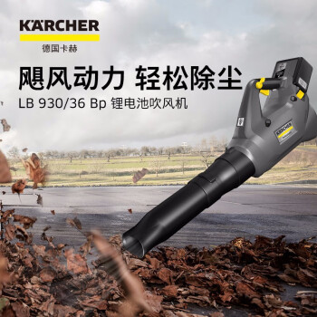 KARCHER 德国卡赫 工业吹落叶机 锂电池吹雪机 吹落叶吹雪 LB 930/36 Bp