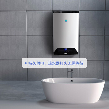 飞利浦（PHILIPS）碳性燃气灶电池 大号1号电池2粒适用热水器/煤气灶/手电筒/收音机/电子琴一号电池 R20