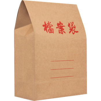 飞尔（FLYER）牛皮纸档案袋 标书合同文件资料袋【350g 牛卡12cm 24x34cm】100个装