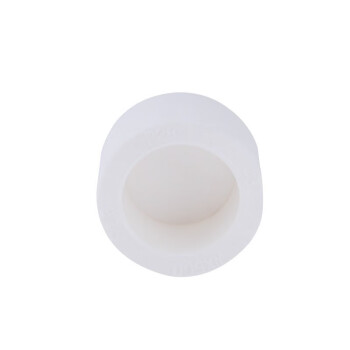 伟星 PPR水管配件 ppr管材管件 4分白色环保水暖管件接头 管帽20/4分 白色