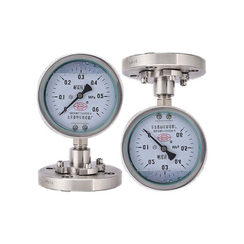 普特 Y100 DN50  0-6Mpa 径向 隔膜压力表  法兰连接