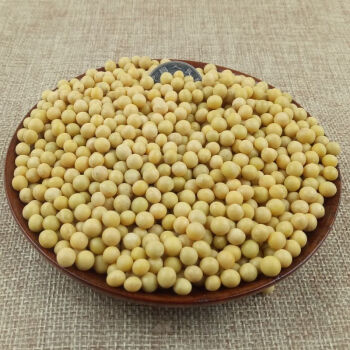 2021年新东北纯小粒黄豆690豆芽做纳豆豆浆用农家大豆35斤装精品690极
