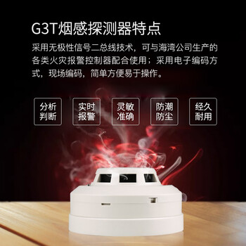 蓝炎 烟感报警器 烟雾报警器 火灾自动报警感烟探测器 3C认证 G3T 带底座（发货为升级款G3X/通用）