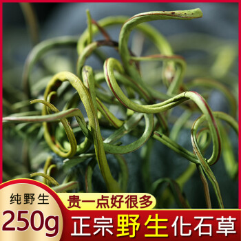 同仁堂野生草250g肾精茶猫须草500g云南中药材溶石结石茶