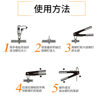 保拉(Paola) 拉铆枪10寸(配4种柳钉)铆钉枪 柳钉枪 手动抽芯枪 多规格拉钉枪便携手动铆钉枪6126