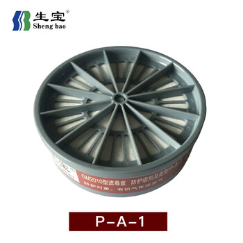 生宝 GM2004 硅胶防毒半面具 防护有机气体蒸气防化喷漆防烟 搭配P-A-1滤盒套装 1套