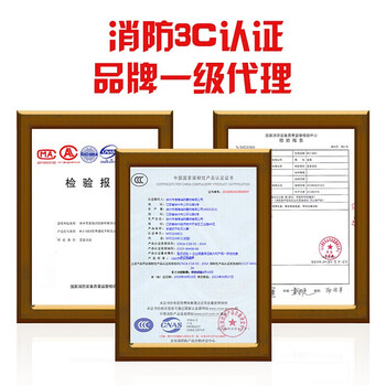 淮海 手提式水基灭火器 消防环保灭火器汽车年检 3L MSZ/3