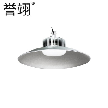 誉翊 led工矿灯厂房灯 工厂吊灯车间照明灯室内球场灯天棚灯 100W 挂钩款送吊链+吸顶盘 1个