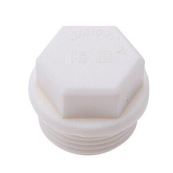 伟星 PPR水管配件 ppr管材管件 4分白色环保水暖管件接头 管堵20/4分（配1/2丝口使用） 白色