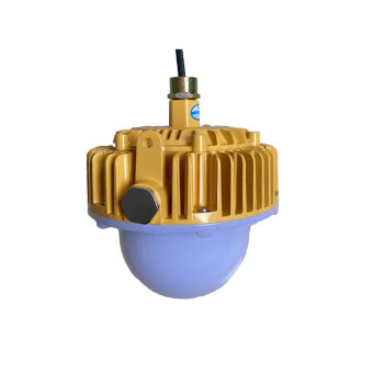 光大特照 EBF605(L)-48W  防爆平台灯（智能调光型）