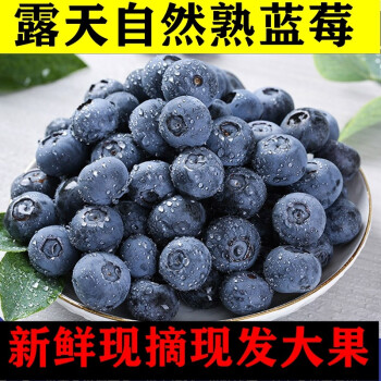 【顺丰发货】秘鲁怡颗蓝莓125g/盒单果20MM精选大果当季新鲜水果时令 8盒/125g小果（9-12MM）
