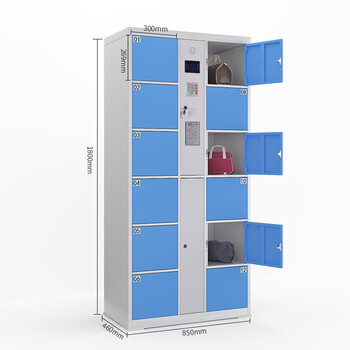 知旦 12门密码存储柜 工厂单位智能自助电子存包柜寄存柜储物柜 CB-12M