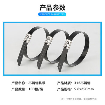 飞尔（FLYER）pvc包塑316不锈钢扎带 自锁式束线扎线带【黑色 5.6×250mm 100根/袋】