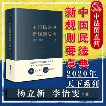 正版 2020天下系列 中国民法典新规则要点 杨立新 李怡雯 法律 民法典法律条文汇编新规解读
