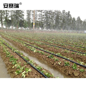 安赛瑞 喷水带 农用滴灌带塑料软管微喷带喷灌带大棚灌溉直径32mm壁厚0.4mm100米 27085