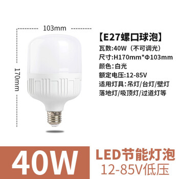 誉翊 LED节能灯泡 低压12-85V室内球泡E27螺口客厅卧室照明灯E27螺口 低压高富帅款 40W 白光