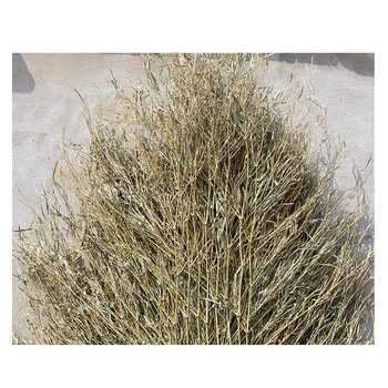 谋福18户外环卫大扫把 扫院子扫帚 1号大扫把木柄（高2.3米宽0.9米）定制