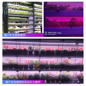 龙代（longdai）LED植物生长灯 室内盆栽花卉水果育苗补光灯大棚植物作用灯 全光谱60CM 10W