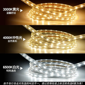 飞利浦（PHILIPS）照明企业客户 恒亮LED高压灯带 单排 9W高亮款 4000K 50米 中性光