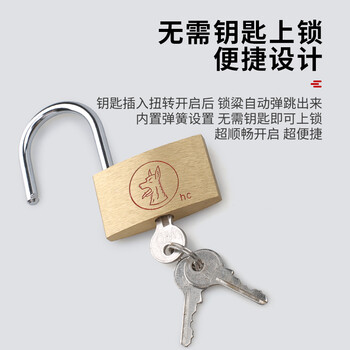 工品星 GPX-TGS铜挂锁通开挂锁小挂锁锁头全铜小锁小铜锁箱包表箱锁具短梁20mm通开锁3把钥匙