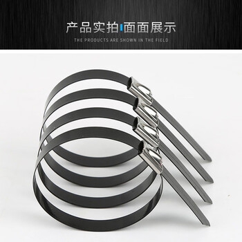 飞尔（FLYER）不锈钢扎带 黑色自锁式 束线带 金属钢带 100根/包【16×300MM】