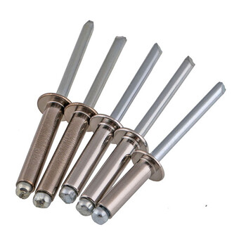 狄龙304不锈钢拉铆钉抽芯铆钉4.8*8mm 500个
