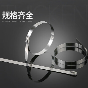 飞尔（FLYER）不锈钢扎带 白钢滚珠自锁式金属箍扎带 1000根/包【4.6×350MM】