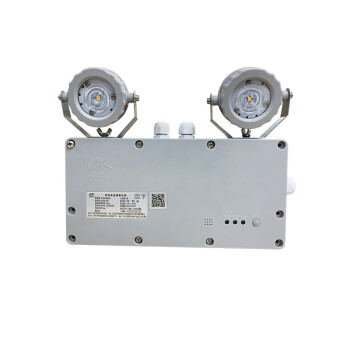 海洋王 ok-9401N 应急照明灯 功率2w