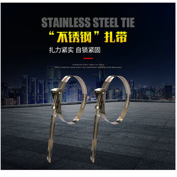 飞尔（FLYER）304不锈钢扎带 加厚活扣扎带 自锁式扎带 可拆卸捆绑带 100根/包【12宽×200mm】