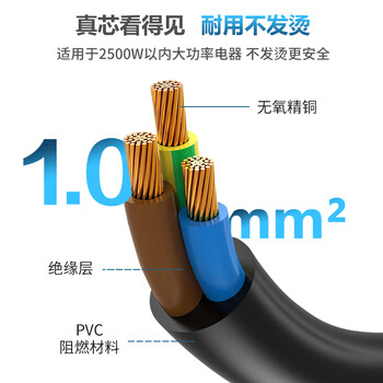 同为（TOWE）国标10A转C13一分二机房服务器电源线 TW-F-10G10/2C13 2M