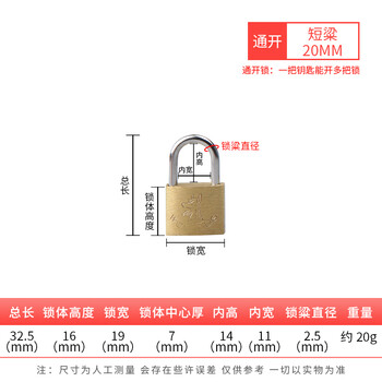 工品星 GPX-TGS铜挂锁通开挂锁小挂锁锁头全铜小锁小铜锁箱包表箱锁具短梁20mm通开锁3把钥匙