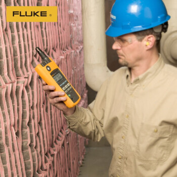 福禄克（FLUKE）F975 多功能环境测量仪空气质量测试仪湿度露点 1年维保