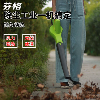 芬格BL20吹风机大棚吹雪机风力灭火机工程路政鼓风机电动吹风机吹菜吹落叶