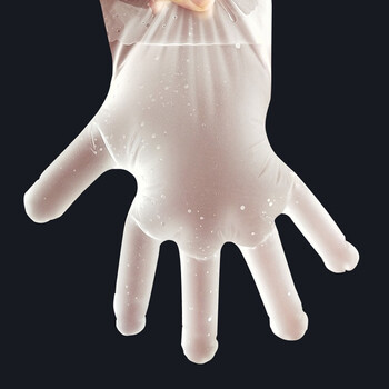 大杨一次性TPE手套 触屏防油卫生 100只/盒 透明大杨030 M中码女款码