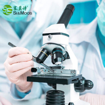 塞莫诗一次性乳胶橡胶手套 防水隔离卫生清洁实验牙科检查LM903MW耐用型100只 乳白色小号S