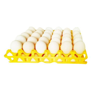 稳斯坦 WST4006 (10个)鸡蛋托架 30枚塑料鸡蛋商品蛋托盘养殖设备（30*30*5cm）