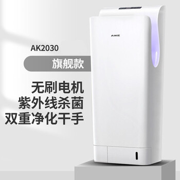 艾克（AIKE）双面感应高速干手机 卫生间挂壁式烘手器 颜色随机 AK2030