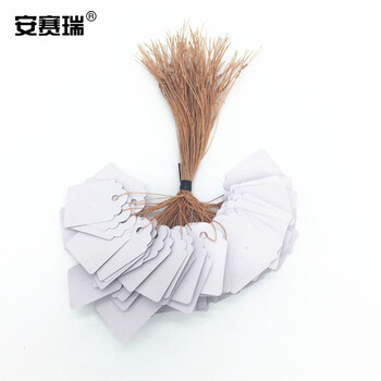 安赛瑞 PVC吊牌（1000张）彩色标签吊签牌花卉园艺塑料小挂牌防水标签园艺 白色 6×4cm 530335