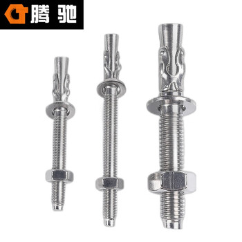 腾驰（CT）304膨胀螺丝车修壁虎 M8*80(100支/盒）