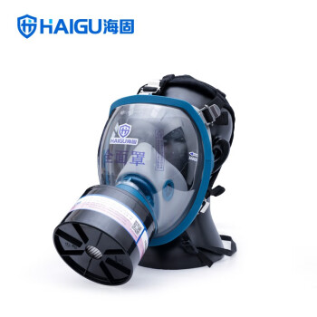 海固（HAIGU）HG-800全面罩防烟防毒套装CO型硅胶全面罩防毒面具