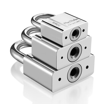 飞球（Fly.Globe）挂锁 防水防锈仓库车厢大门挂锁 学校商铺门锁 防盗防撬锁FQ-W50mm