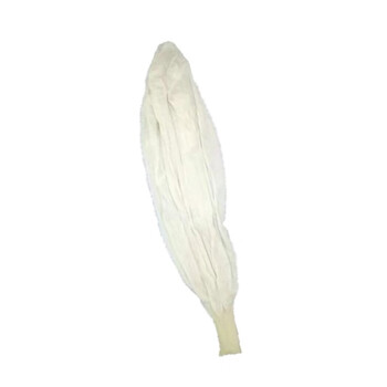 苏识 CF100G 测风气球探空气球 100g ( 颜色：本色) 气象测风气球