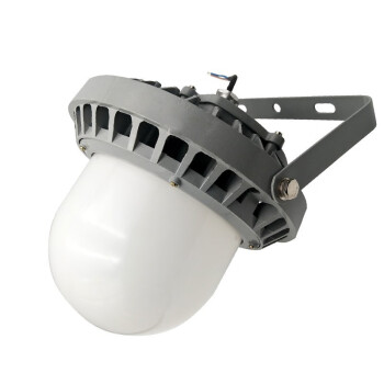 IRE（弗朗） BRE18 LED防水防尘平台灯 80W 220V LED 节能 三防
