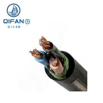 起帆（QIFAN）电缆 YC5*6平方重型橡套软线（按需生产）黑色 10米 100米起售