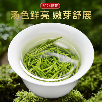 乐品乐茶绿茶毛尖茶叶特级250g 2024新茶明前礼盒装春茶嫩芽自己喝送礼