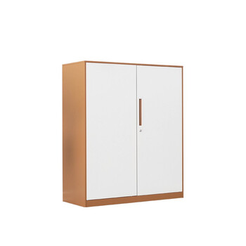 盛花 加厚钢制单节文件柜资料柜物品柜凭证柜档案柜1050*900*400咖白套色