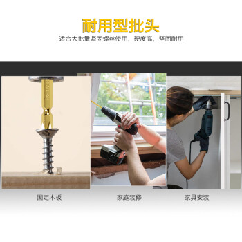 罗宾汉（RUBICON）电钻批头 GW-10 十字套装电动螺丝刀 强磁风批头起子 65mm 10支装