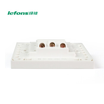 绿锋 lefons 照明开关V1012Y双联单控开关（夜光）86型 双开单控照明开关 白色 暗装